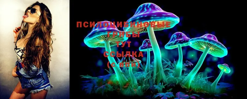 Псилоцибиновые грибы Magic Shrooms  наркошоп  Балаково 